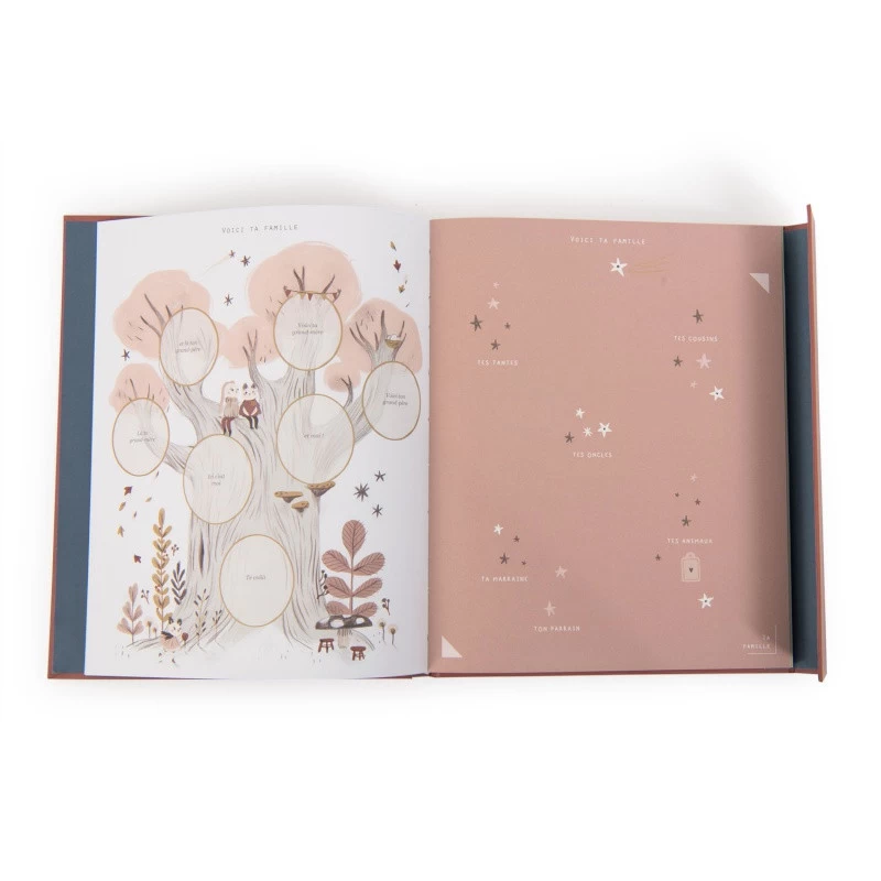 Livre De Naissance 80p MOULIN ROTY Apres La Pluie 8 Livre De Naissance 80p MOULIN ROTY Apres La Pluie – Image 6