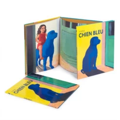 Livre "Chien Bleu De Nadja" MOULIN ROTY Ecole Des Loisirs -Magasin de jouets gcel livre chien bleu de nadja 1