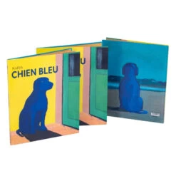 Livre "Chien Bleu De Nadja" MOULIN ROTY Ecole Des Loisirs -Magasin de jouets gcel livre chien bleu de nadja 2