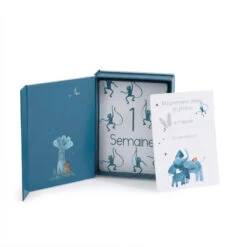 Cartes "Mes 12 1ers Mois" MOULIN ROTY Sous Mon Baobab -Magasin de jouets smb cartes mes 12 1ers mois 2
